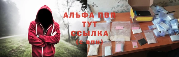 стаф Верея