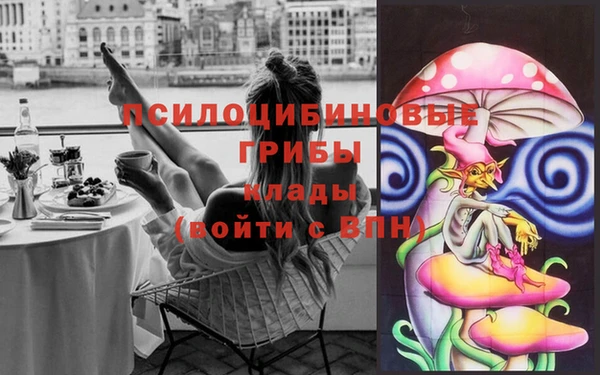 стаф Верея