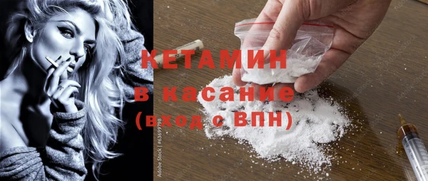 стаф Верея