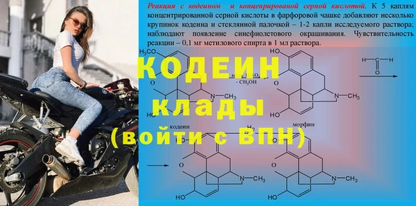 стаф Верея