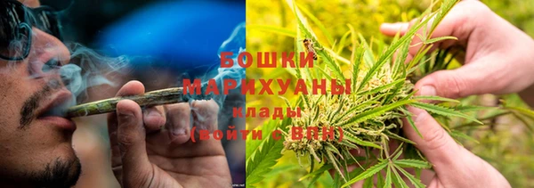 PSILOCYBIN Верхний Тагил