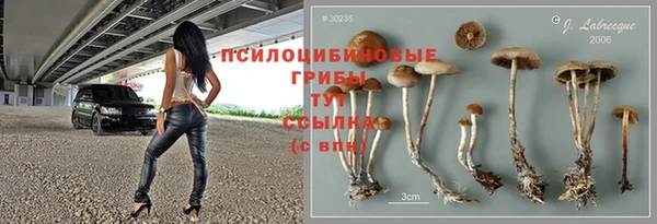стаф Верея
