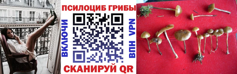 Галлюциногенные грибы GOLDEN TEACHER darknet официальный сайт Электроугли